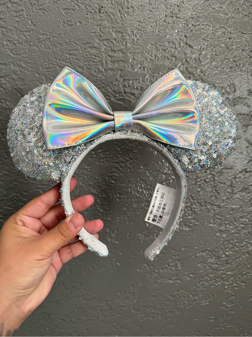 Disney Park Ears